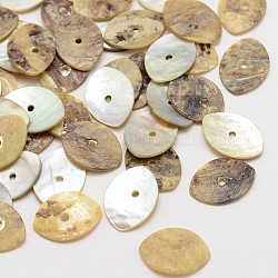 Perline akoya naturali a forma di occhio di cavallo, perle di madreperla, cammello, 14x10x1mm, Foro: 1 mm, circa 720pcs/scatola
