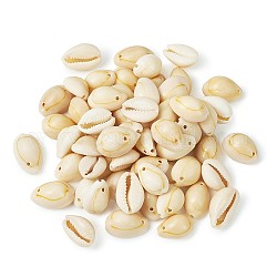 Perles de coquillages cauris yilisi, ovale, couleur de coquillage, 16~18x12~13x5~7mm, Trou: 1~2mm, 200 pcs / boîte