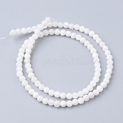 Natural Freshwater Shell Bead Strands, Round, 4mm, Hole: 0.5mm, about 99pcs/strand, 15.7 inch