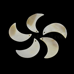 Colgantes de concha de agua dulce luna, 50~51x34~35x3~5mm, agujero: 2 mm