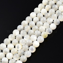 Fili di perline di conchiglia bianco naturale, tondo, 5mm, Foro: 1 mm, circa 79~81pcs/filo, 15.16 pollice ~ 15.75 pollici (38~40 cm)