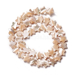 Concha de troquido natural / cuentas de concha de troco, estrella, blanco navajo, 10x11x2.5~3mm, agujero: 0.8 mm, aproximamente 46 pcs / cadena, 15.91 pulgada (40.4 cm)