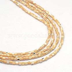 Natural Trochid Shell/Trochus Shell Bead Strands, Oval, Wheat, 3x3mm, Hole: 1mm, about 135~140pcs/strand, 15.7 inch