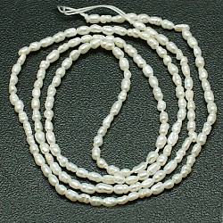 Natural Cultured Freshwater Pearl Oval Beads Strands, Beige, 2.8mm, Hole: 0.8mm, about 152pcs/strand, 14.57 inch
