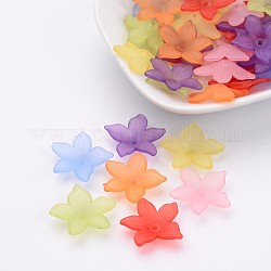 Mixed Transparent Frosted Acrylic Flower Beads, Size: about 20.5mm in diameter, 4.5mm thick, hole:1.5mm