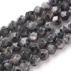 Fili di perle di diaspro / kiwi di sesamo naturale, perline rotonde con taglio a stella, tinto, sfaccettato, grigio, 7~8mm, Foro: 1 mm, circa 47~48pcs/filo, 14.5 pollice ~ 15 pollici (37~38 cm)