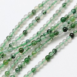 Chapelets de perles en agate mousse naturelle, ronde, 2mm, Trou: 0.8mm, Environ 184 pcs/chapelet, 16 pouce