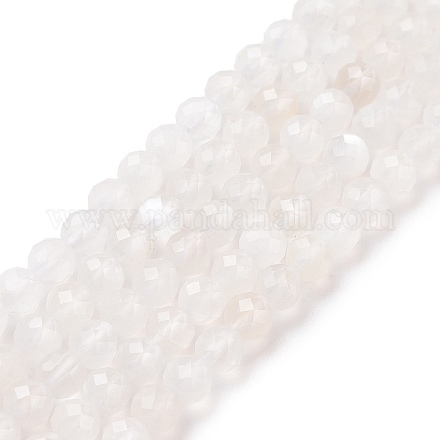 Chapelets de perles en pierre de lune naturelle G-F736-01-1