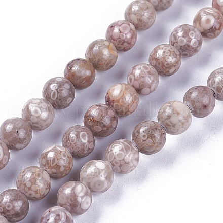 Chapelets de perles maifanite/maifan naturel pierre  G-L500-03A-6mm-1