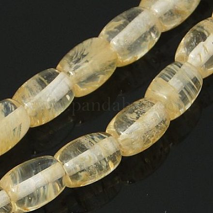 Watermelon Stone Glass Beads Strands G-G386-01-1
