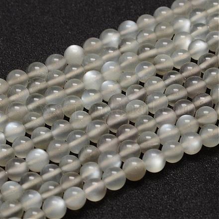 Natural Grey Moonstone Beads Strands G-F306-07-6mm-1