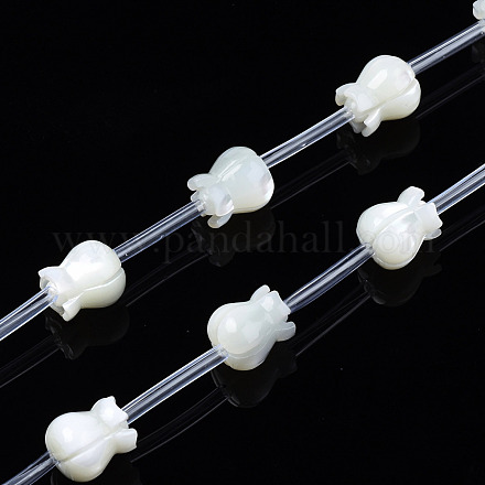 Chapelets de perles de coquille de trochid / trochus coquille SSHEL-S278-128-1