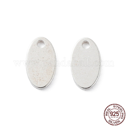 925 Sterling Silver Charms STER-F053-09S-1