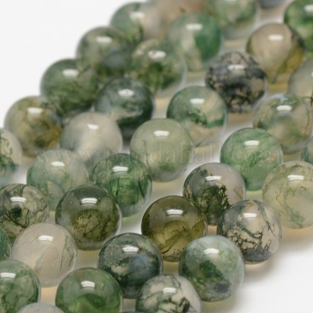 Chapelets de perles en agate mousse naturelle X-G-F453-4mm-1