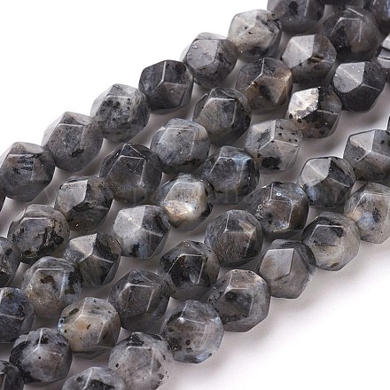 Fili di perle di diaspro / kiwi di sesamo naturale G-F545-C10-1