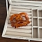 Cellulose Acetate(Resin) Claw Hair Clips, Chocolate, 75x50mm