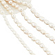 Nbeads alrededor de 75 pieza de perlas de agua dulce cultivadas naturales PEAR-NB0001-87-1