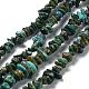 Natural African Turquoise(Jasper) Chip Beads Strands G-E271-59-1