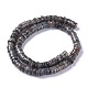 Natural Freshwater Shell Beads Strands X-BSHE-I016-04A-2
