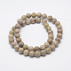 Natural Fossil Coral Beads Strands X-G-P325-01-8mm-2