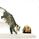 塩ビウォールステッカー  壁飾り  マウス模様  500x320mm DIY-WH0228-583-4
