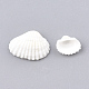Spiral Shell Beads SSHEL-S251-09-2