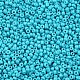 Baking Paint Glass Seed Beads SEED-US0003-2mm-K10-2
