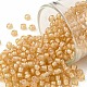 TOHO Round Seed Beads SEED-TR08-0923-1