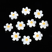 Натуральные белые бусины из ракушек SHEL-S278-033