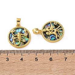Pendentifs en laiton zircon cubique transparent&nbsp;KK-L266-03G