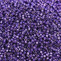 Miyuki Delica Perlen&nbsp;X-SEED-J020-DB2510