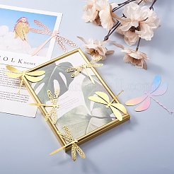 12sets 6 stil pvc 3d nachahmung aushöhlen libelle wand aufkleber&nbsp;DIY-CF0001-04