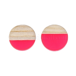 Pendientes de resina y madera&nbsp;EJEW-N017-003A