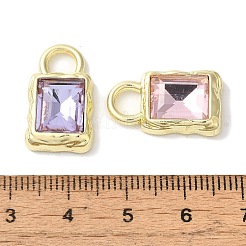 Anhänger aus Legierung mit Schlossgestell&nbsp;FIND-I039-26G