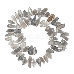 Natur Labradorit Perlen Stränge&nbsp;G-C273-B01
