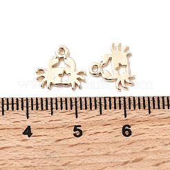 Messing Anhänger & Charms&nbsp;KK-A277-06G