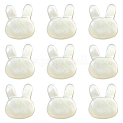 5 Stück natürliche weiße Muschelperlen&nbsp;BSHE-CJ0001-06