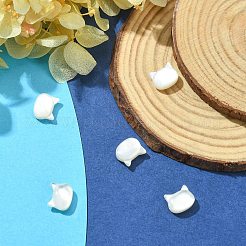 5 Stück natürliche weiße Muschelperlen&nbsp;BSHE-CJ0001-07