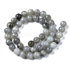 Natur Labradorit&nbsp;G-S158-8mm