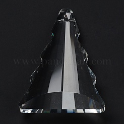 Transparente Glas große Anhänger&nbsp;GLAA-R223-07
