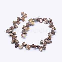 Misti naturali perline pietra preziosa fili&nbsp;G-K266-01