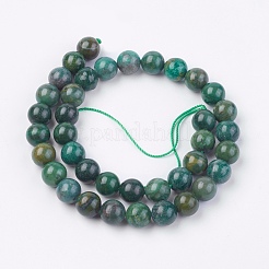 Natürliche afrikanische Jade Perlen Stränge&nbsp;G-F560-10mm-B01