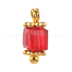 Transparente Glas Anhänger / charms&nbsp;PALLOY-JF00459-M