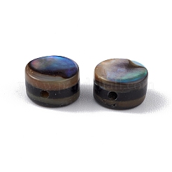Natürliche Abalone-Muschel / Paua-Muschelperlen&nbsp;SSHEL-M021-02