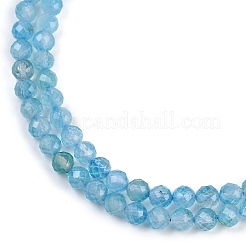 Natürliche blaue Topas-Perlenstränge&nbsp;G-F782-B07-05