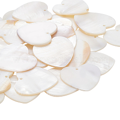 Pendentifs de coquillages d'eau douce naturelle&nbsp;SHEL-BC0001-004