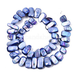 Eau douce naturelle de coquillage perles brins&nbsp;X-SHEL-N026-123G