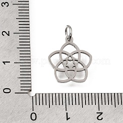 Anhänger aus 304 Edelstahl&nbsp;SA-CBA4CE0-09P