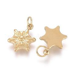 Weihnachts-Ionenplattierung (IP) 304 Edelstahl-Charms&nbsp;STAS-I164-025G