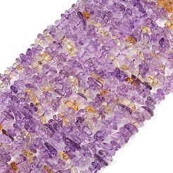 Naturperlen Stränge ametrine&nbsp;G-C250-02